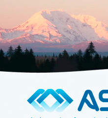 Aste Website & Logo